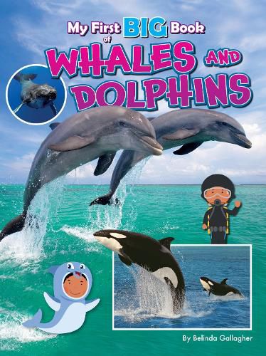 Cover image for My First BIG Book of WHALES and DOLPHINS