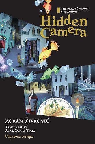 Cover image for Hidden Camera