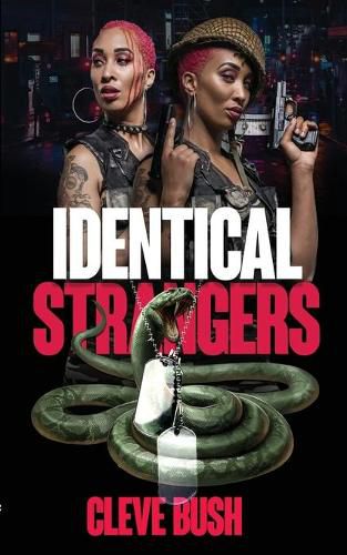 Cover image for Identical Strangers