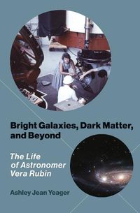 Cover image for Bright Galaxies, Dark Matter, and Beyond