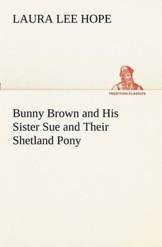 Cover image for Bunny Brown and His Sister Sue and Their Shetland Pony