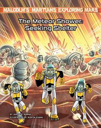 Cover image for The Meteor Shower: Seeking Shelter