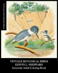 Cover image for Vintage Botanical Birds