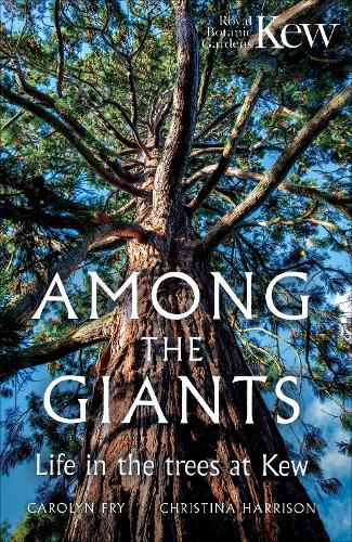 Cover image for Among the Giants