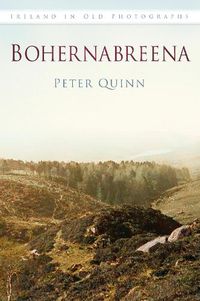 Cover image for Bohernabreena: Ireland in Old Photographs