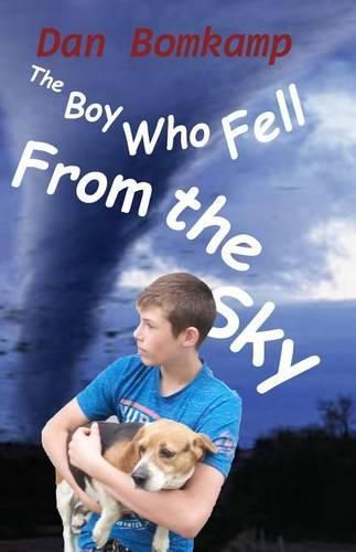 Cover image for The Boy Who Fell From the Sky