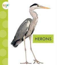 Cover image for Herons