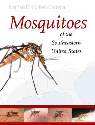 Cover image for Mosquitoes of the Southeastern United States