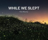 Cover image for While We Slept