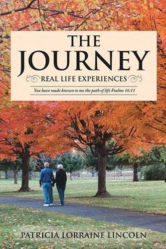 Cover image for The Journey