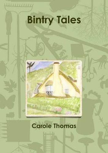 Cover image for Bintry Tales