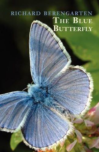 Cover image for The Blue Butterfly: Selected Writings