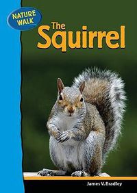 Cover image for The Squirrel