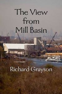 Cover image for The View from Mill Basin