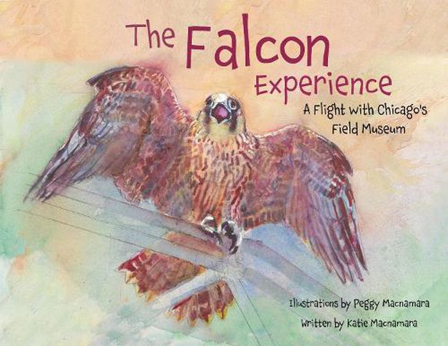 Cover image for The Falcon Experience