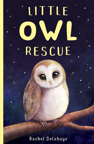 Cover image for Little Owl Rescue