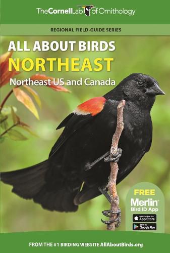 Cover image for All About Birds Northeast: Northeast US and Canada