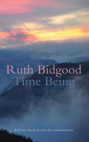 Cover image for Time Being