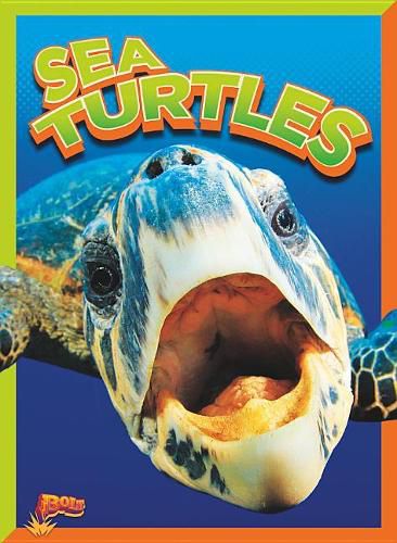 Cover image for Sea Turtles