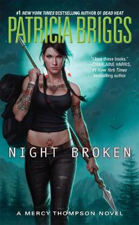 Cover image for Night Broken