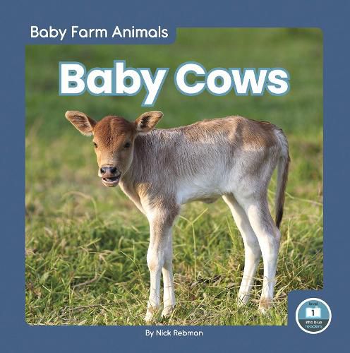 Cover image for Baby Cows