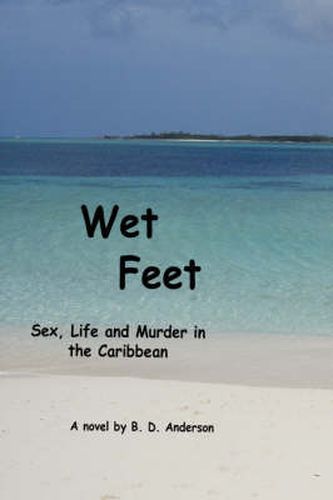 Cover image for Wet Feet