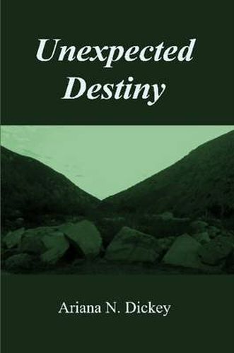 Cover image for Unexpected Destiny