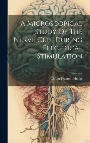 Cover image for A Microscopical Study Of The Nerve Cell During Electrical Stimulation