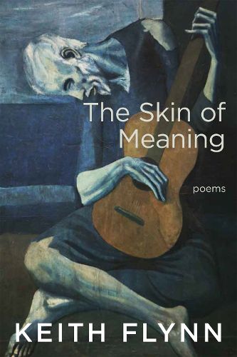 Cover image for The Skin of Meaning