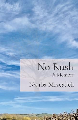 Cover image for No Rush