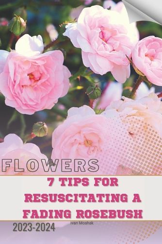 7 Tips For Resuscitating a Fading Rosebush