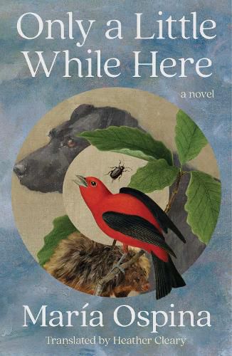 Cover image for Only a Little While Here