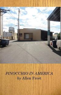 Cover image for Pinocchio in America