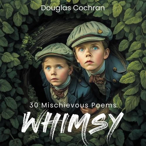 Cover image for whimsy