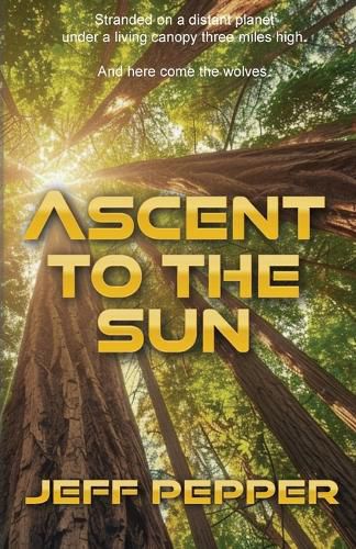 Cover image for Ascent to the Sun