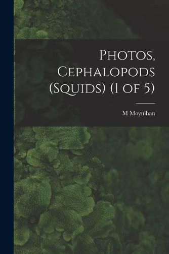 Cover image for Photos, Cephalopods (Squids) (1 of 5)