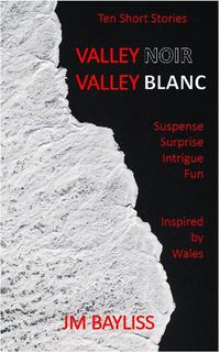 Cover image for Valley Noir Valley Blanc: Ten Short Stories