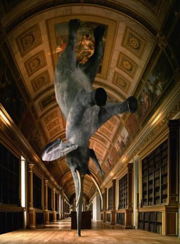 Cover image for Daniel Firman