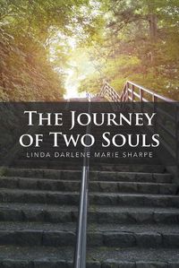 Cover image for The Journey of Two Souls