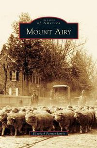 Cover image for Mount Airy