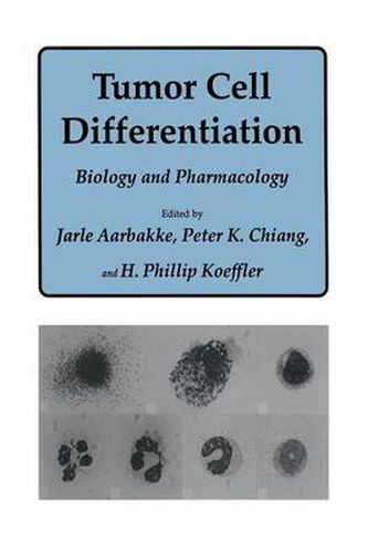 Cover image for Tumor Cell Differentiation: Biology and Pharmacology