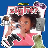 Cover image for What Is Sight?