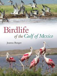 Cover image for Birdlife of the Gulf of Mexico