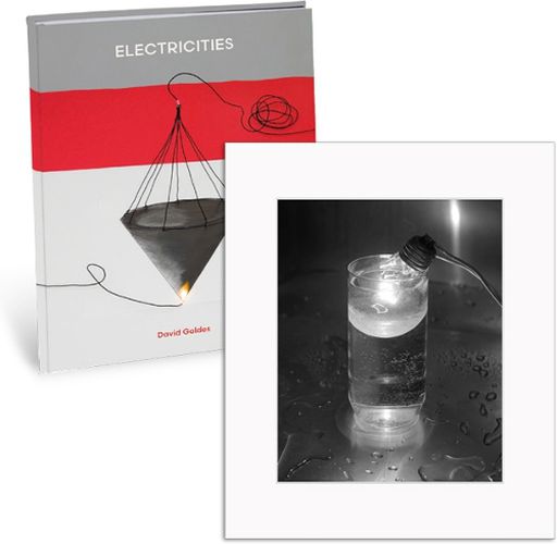 Cover image for David Goldes: Electricities