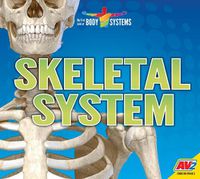 Cover image for Skeletal System