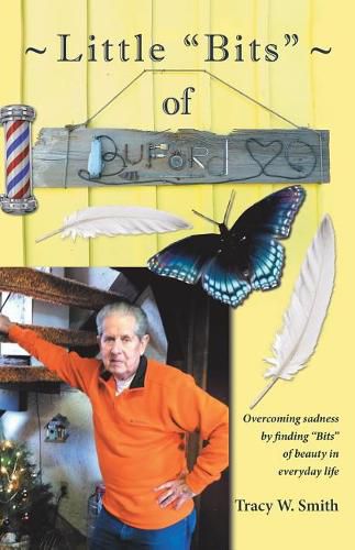 Little Bits of Buford: Overcoming sadness by Finding Bits of beauty in everyday life