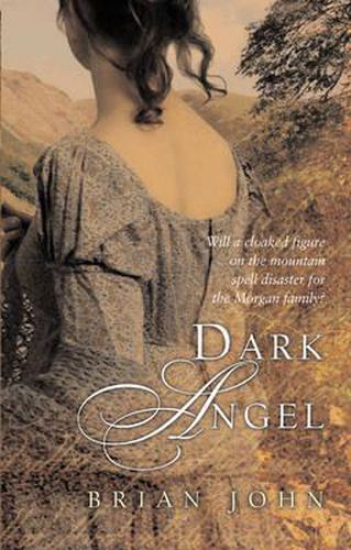 Cover image for Dark Angel