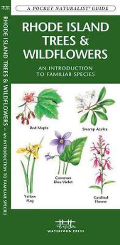 Cover image for Rhode Island Trees & Wildflowers: A Folding Pocket Guide to Familiar Species