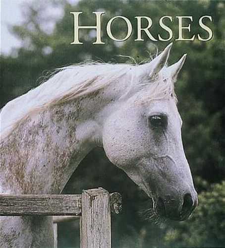 Cover image for Horses