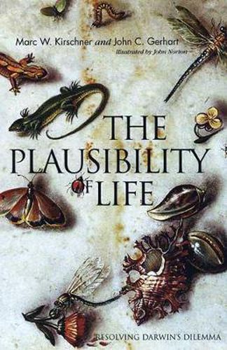 Cover image for The Plausibility of Life: Resolving Darwin's Dilemma